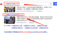 云南*投開發投資有限公司網站建設創意網站效果展示