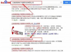 云南昆*電子信息科技有限公司網站建設案例欣賞