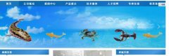 海南定安*美生物工程有限公司企業網站建設有創意的主題設計