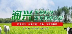 潤*生物科技張北有限公司網(wǎng)站設(shè)計基本流程