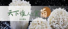 天水眾*菌業股份有限公司網站建設有創意的主題設計