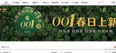 云南瀾*古茶有限公司制作網站基本流程