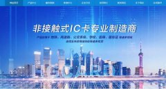 山東華*智能卡有限公司網站建設參考網站